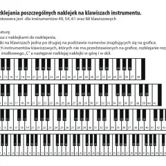 Instrukcja rozklejania naklejek z literami na klawiszach pianina. Pokazano fragmenty klawiatur 49, 54, 61 i 88 klawiszowych z ponumerowanymi klawiszami.