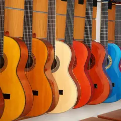 Rząd gitar klasycznych i akustycznych w różnych kolorach. Różnice między nimi to m.in. struny i pudło rezonansowe.