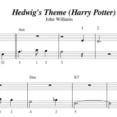 Nuty literowe Hedwig's Theme z Harry'ego Pottera. John Williams skomponował tę magiczną melodię, a Ilaria Roberti ją zaaranżowała.