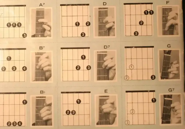 Diagramy akordów gitarowych: A7, B7, Bb, D, D7, E, F, G, G7. Nauka gry na gitarze, każdy fis akord jest tu pokazany.