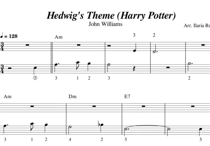 Nuty literowe Hedwig's Theme z Harry'ego Pottera. John Williams skomponował tę magiczną melodię, a Ilaria Roberti ją zaaranżowała.