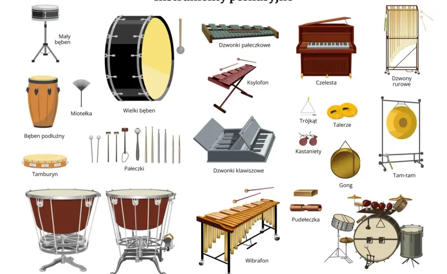 Klasyfikacja instrumentów muzycznych - Co drga?