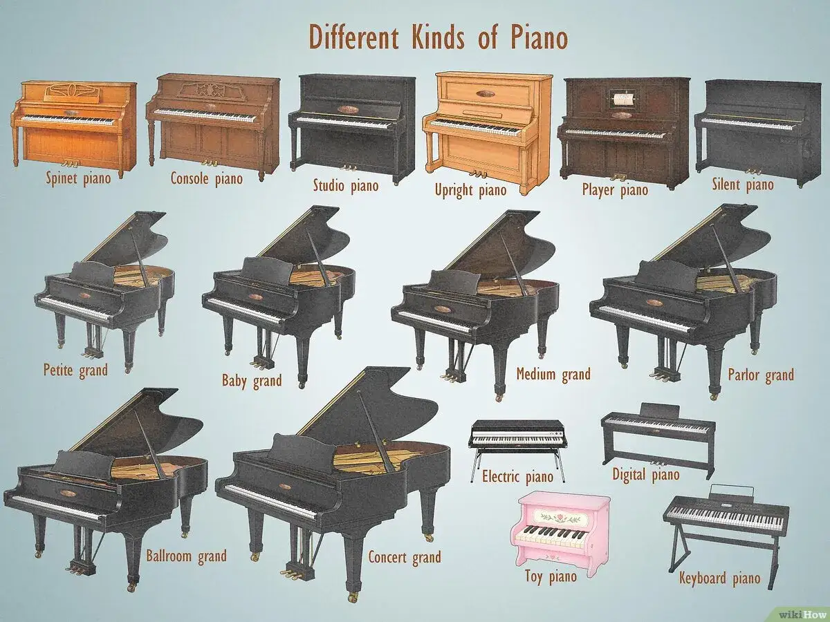 Różne rodzaje pianin i fortepianów, w tym pianino cyfrowe, pianino elektryczne i pianino zabawkowe.
