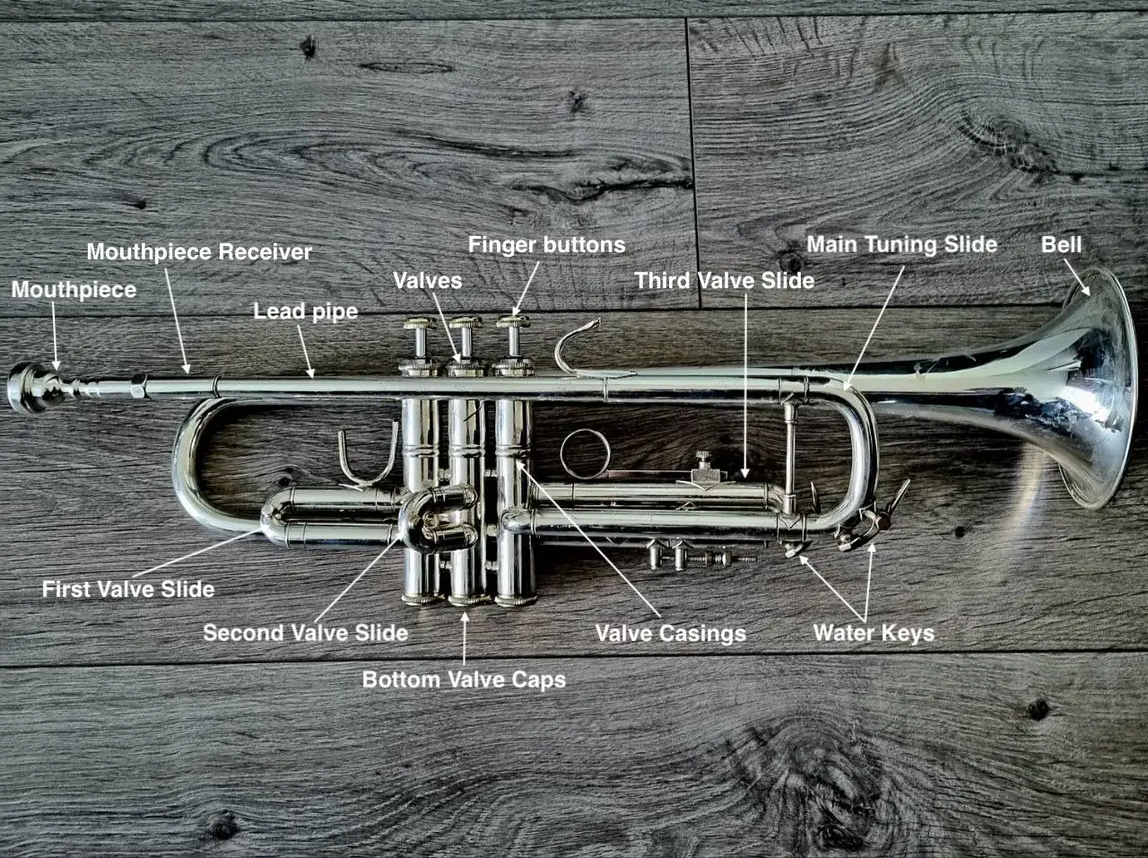 Instrument trąba z widocznymi częściami: ustnik, wentyle, suwaki, dzwon.