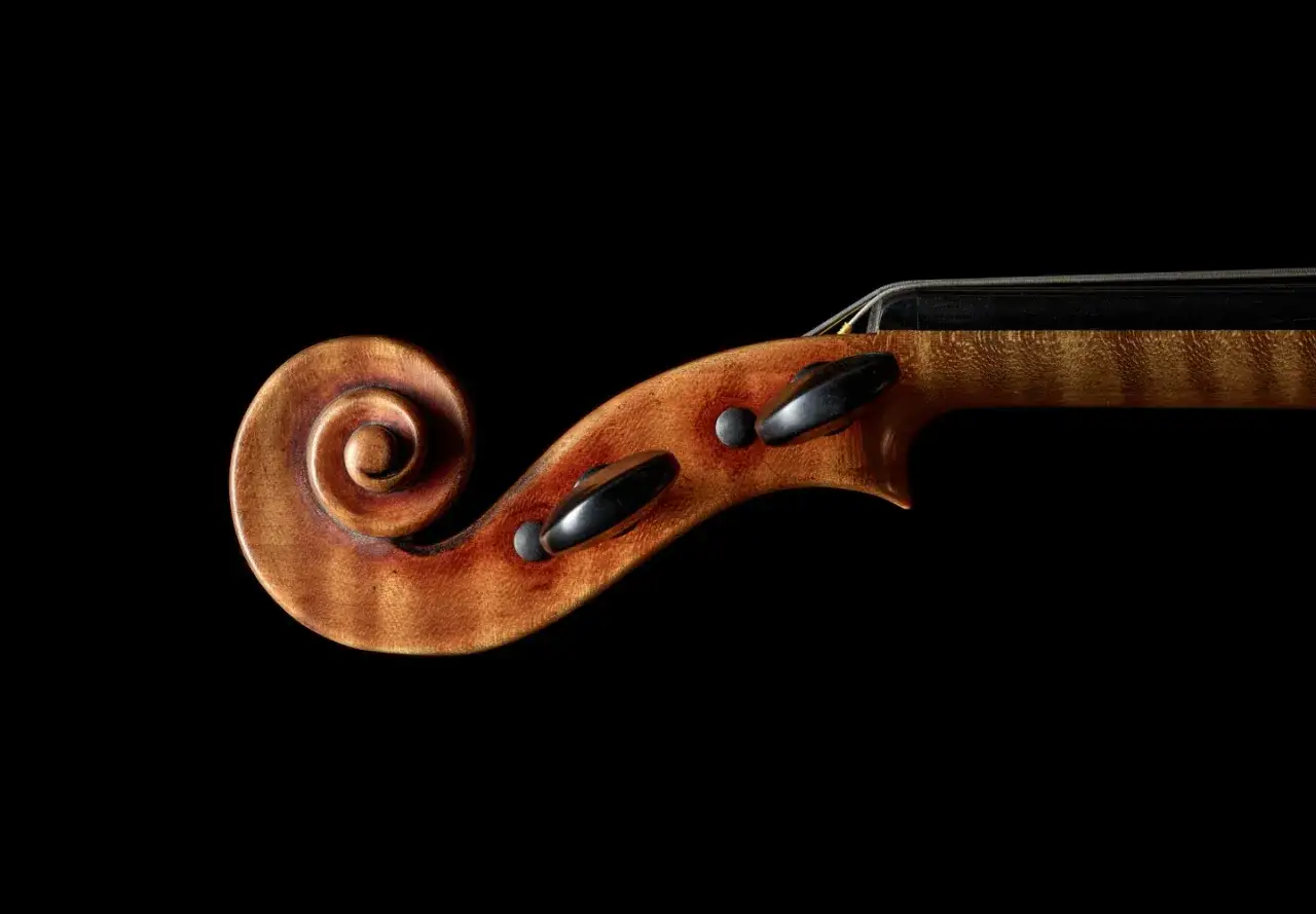 Złota ślimacznica i szyjka skrzypiec Stradivarius, z czarnymi kluczykami i strunami.